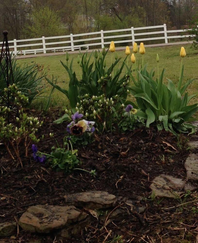 Meadow View Farm Bed & Breakfast Hernando Exterior foto